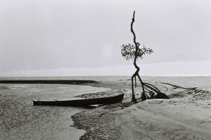 Foto de Omar Melussi compõe a mostra “Paisagem”.