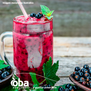 Smoothie de jabuticaba